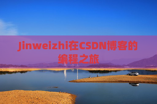 Jinweizhi在CSDN博客的编程之旅