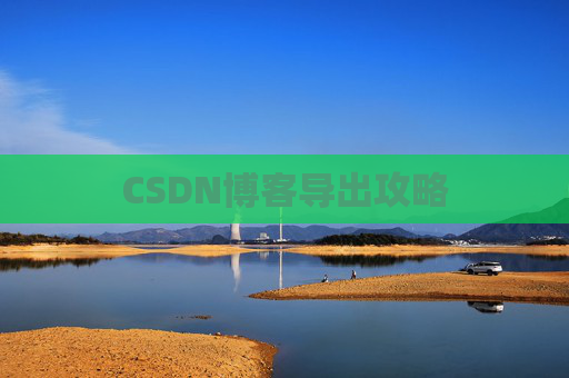 CSDN博客导出攻略